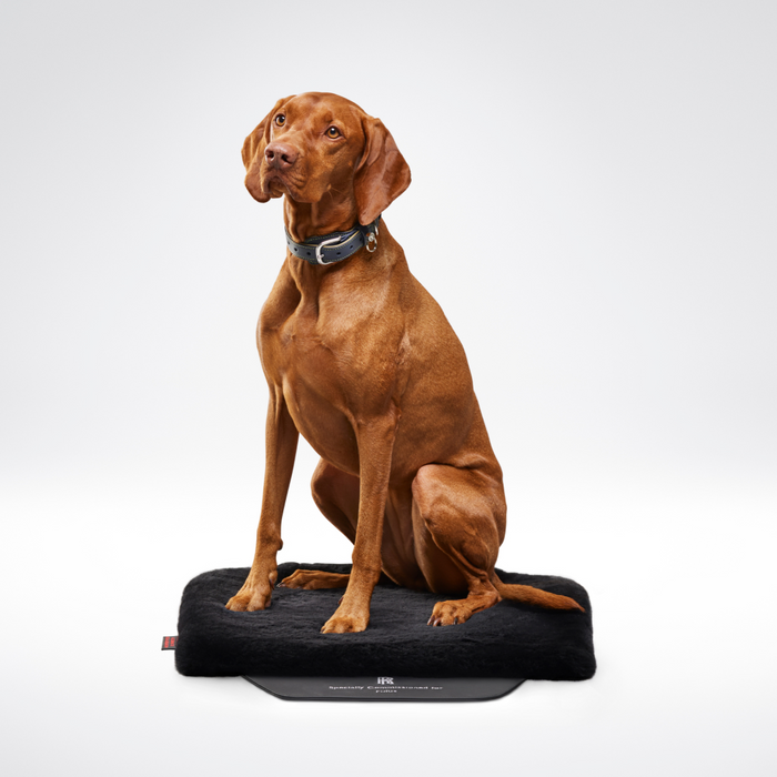 Rolls-Royce Pet Seat Mat