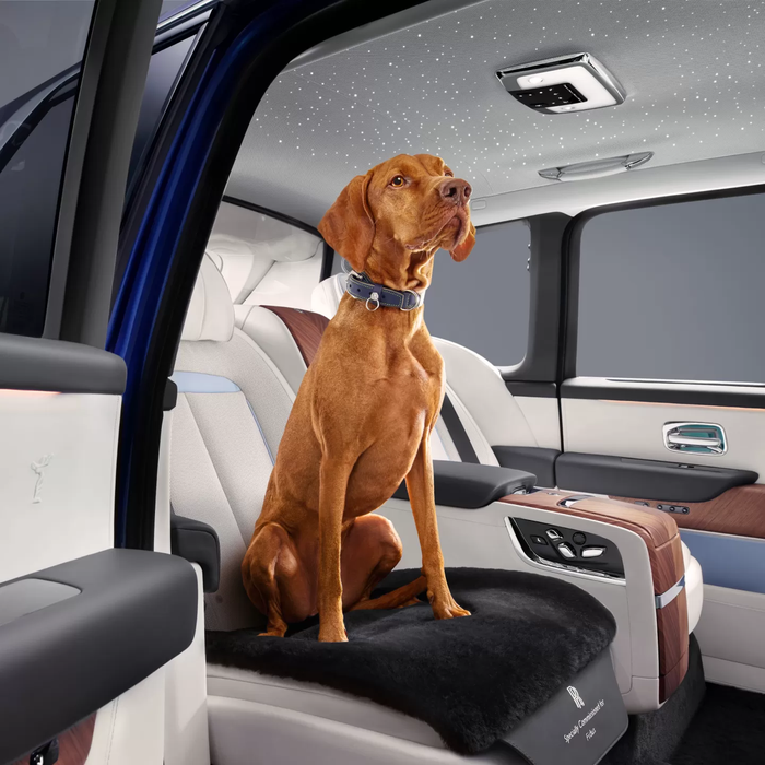 Rolls-Royce Pet Seat Mat