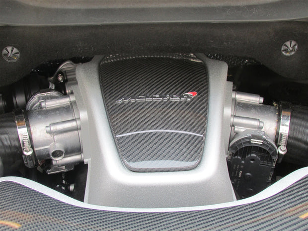 McLaren Carbon Fiber Engine Covering