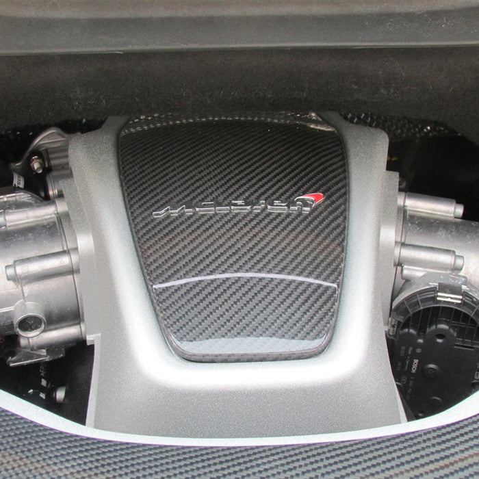 McLaren Carbon Fiber Engine Covering
