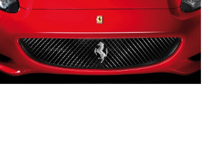 Ferrari California GTO Grille — Miller Motorcars Boutique
