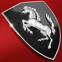 Ferrari 360 & F430 Carbon Fender Shield