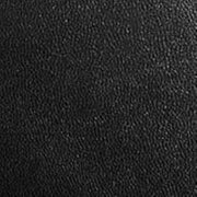 Rapide Saddle Leather Luggage