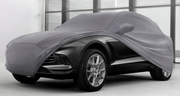 DBX Outdoor Car Cover