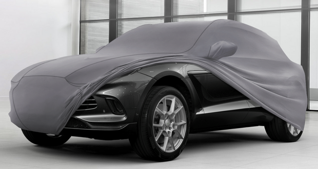 DBX Outdoor Car Cover