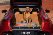DBX Dog Bed